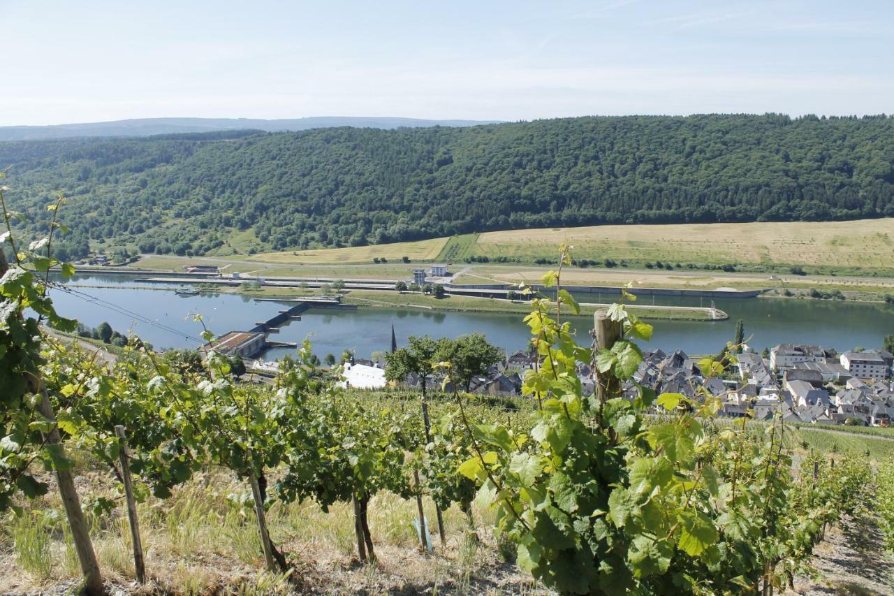 Ferienhaus Moselblick Mit Kostenfreien Oepnv-Ticket Urzig Bagian luar foto